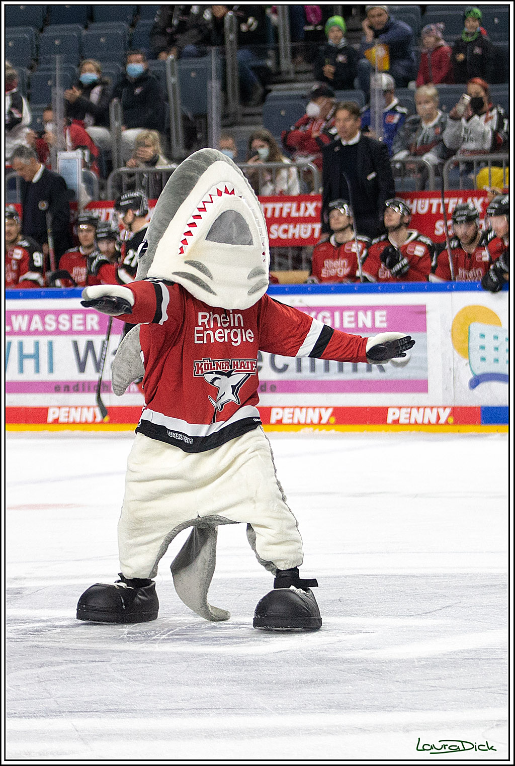 PENNY DEL; Koelner Haie- ERC Ingolstadt; Koeln, 19.12.2021